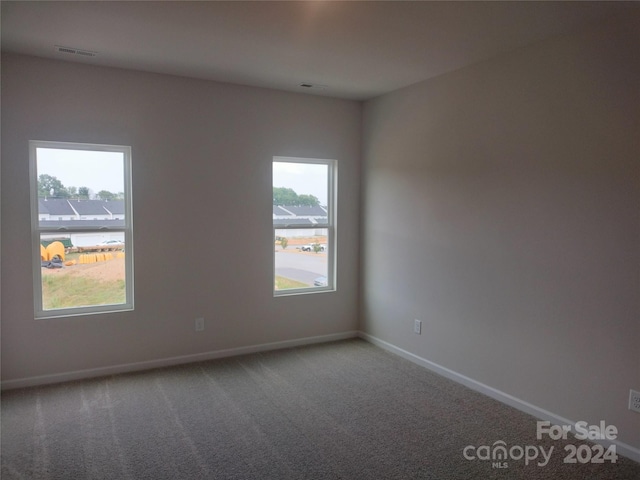 spare room featuring carpet flooring and plenty of natural light