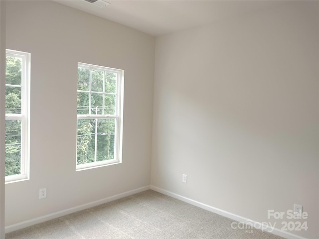 carpeted spare room featuring a wealth of natural light