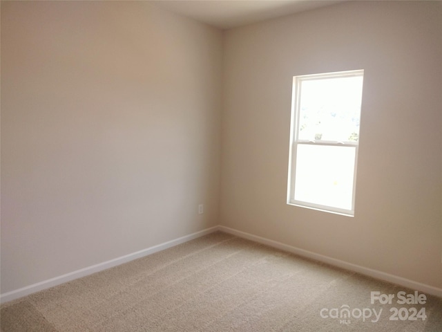 spare room with carpet flooring