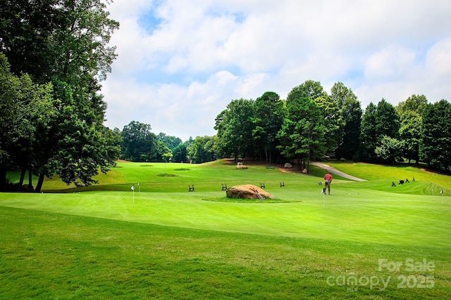 4223 S New Hope Rd Unit 8, Gastonia, NC 28056 - view of home's community featuring view of scattered trees, a lawn, an area to practice putting, and view of golf course