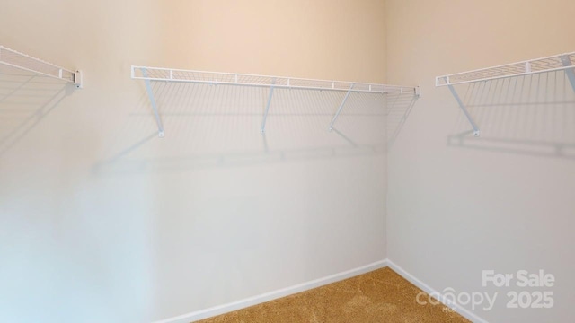 4223 S New Hope Rd Unit 8, Gastonia, NC 28056 - walk in closet featuring carpet