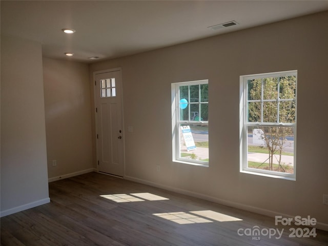 foyer entrance featuring dark wood-type flooring