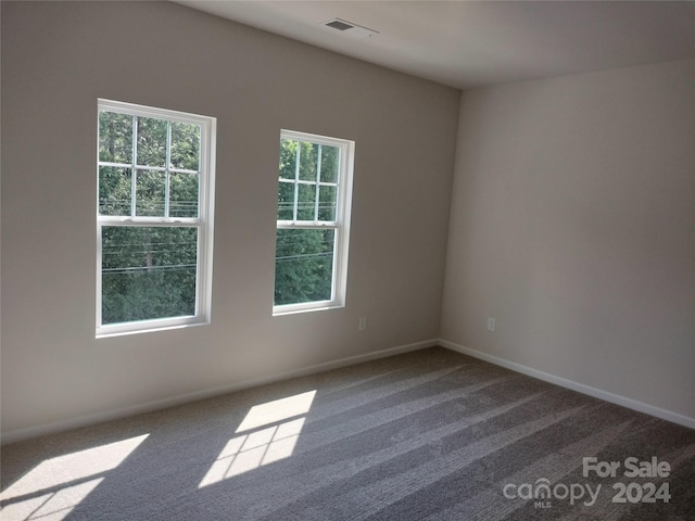 empty room with carpet flooring