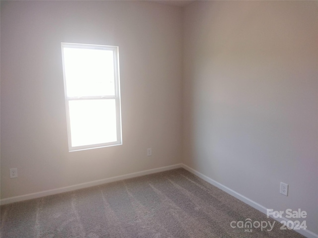 unfurnished room with carpet flooring and a wealth of natural light