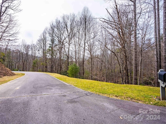 203 Pinemount Ct Unit 312, Hendersonville NC, 28739 land for sale