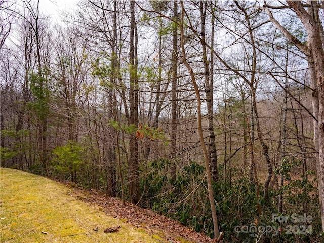 Listing photo 2 for 203 Pinemount Ct Unit 312, Hendersonville NC 28739