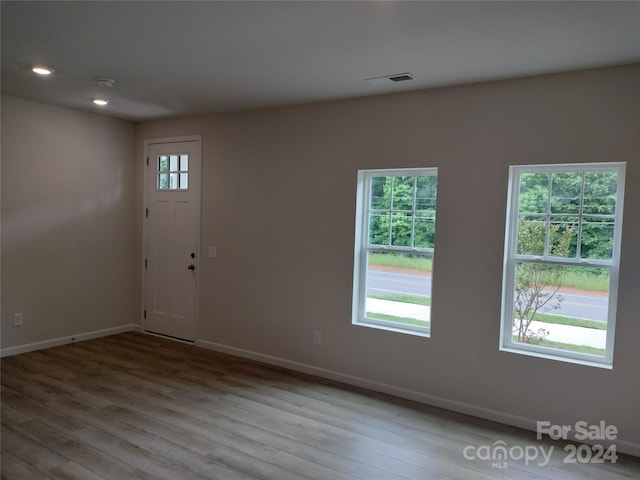 entrance foyer featuring light hardwood / wood-style floors and a wealth of natural light