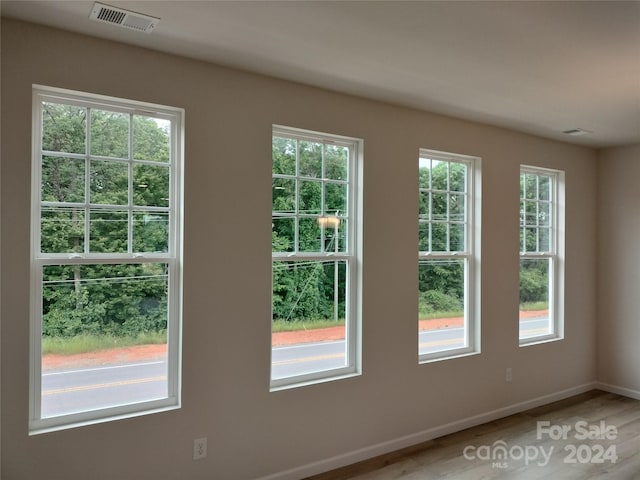 entryway with a wealth of natural light and wood-type flooring