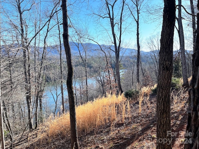 LOT30 Mountain Pkwy, Mill Spring NC, 28756 land for sale