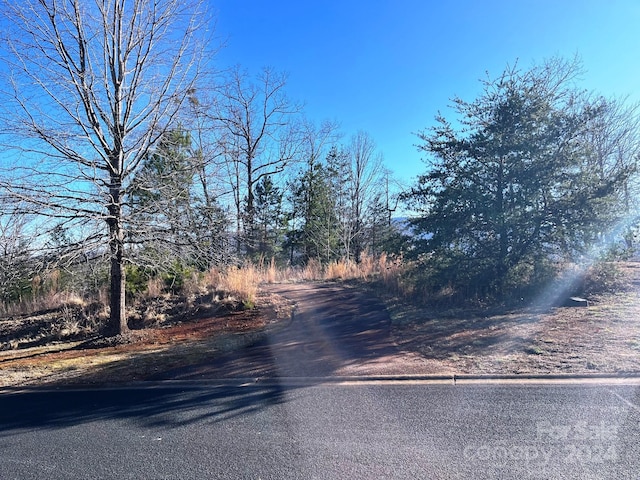 Listing photo 3 for LOT30 Mountain Pkwy, Mill Spring NC 28756