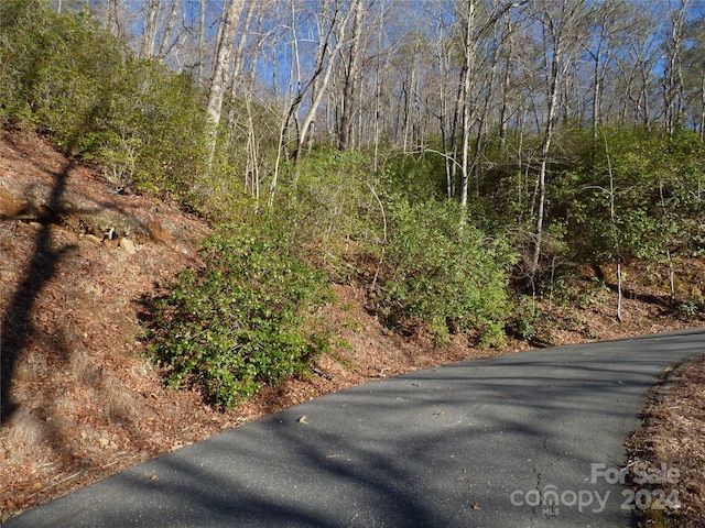 000 Ridgeway St, Sylva NC, 28779 land for sale