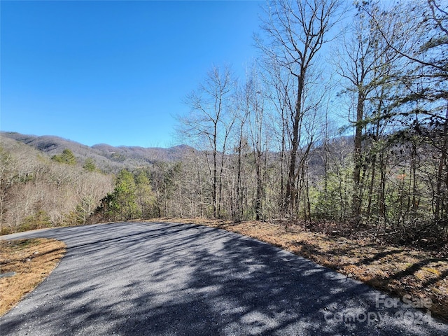 1690 Firefly Trl, Marshall NC, 28753 land for sale