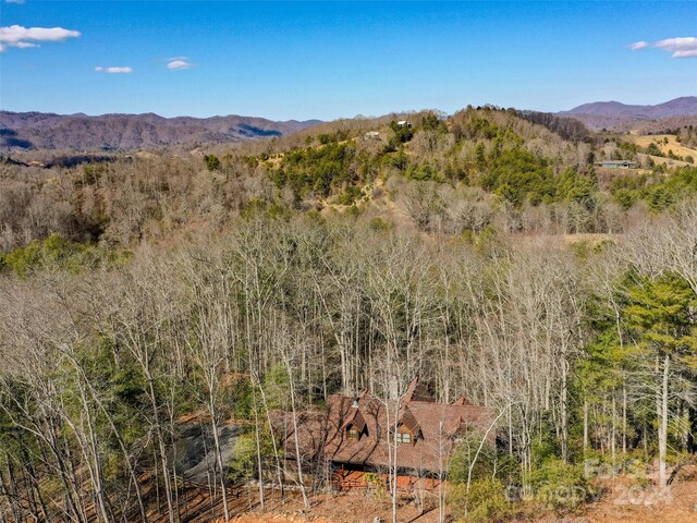 property view of mountains