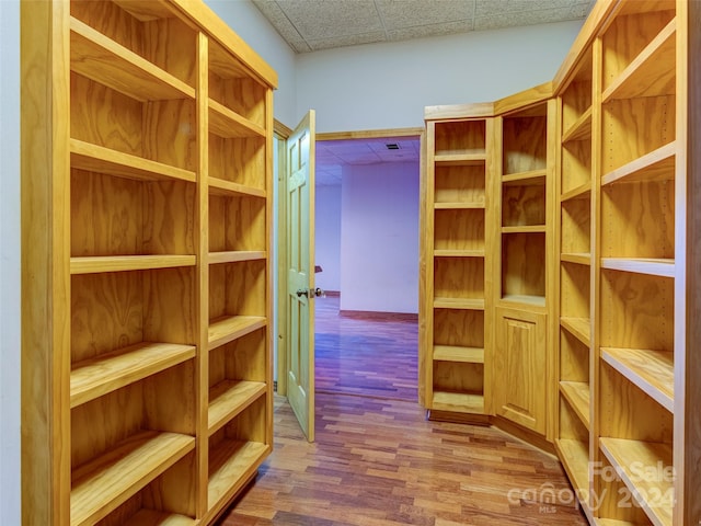 walk in closet with a drop ceiling and wood-type flooring