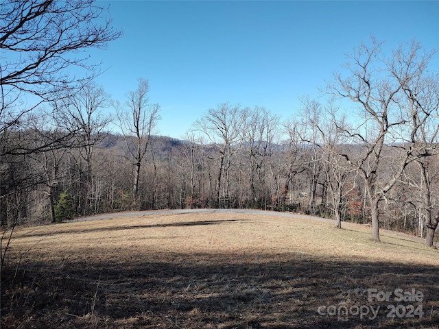 0 Vineyard Hill Dr, Fletcher, NC 28732