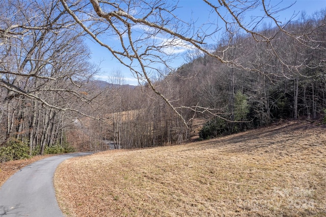 0 Vineyard Hill Dr, Fletcher, NC 28732