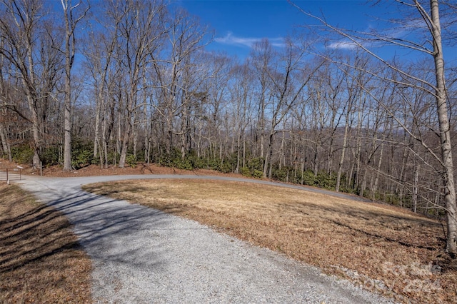 0 Vineyard Hill Dr, Fletcher, NC 28732
