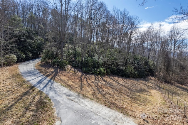 0 Vineyard Hill Dr, Fletcher, NC 28732