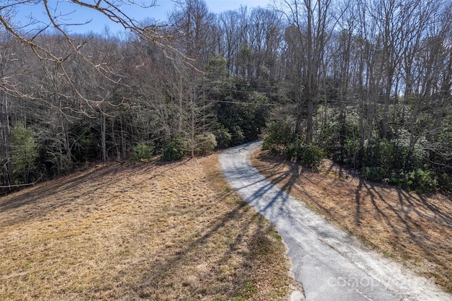 0 Vineyard Hill Dr, Fletcher, NC 28732