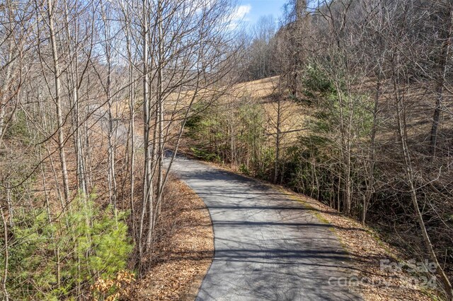 0 Vineyard Hill Dr, Fletcher, NC 28732
