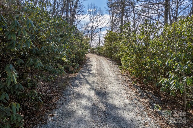 0 Vineyard Hill Dr, Fletcher, NC 28732