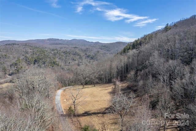 0 Vineyard Hill Dr, Fletcher, NC 28732