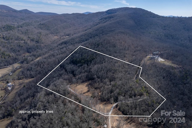0 Vineyard Hill Dr, Fletcher, NC 28732