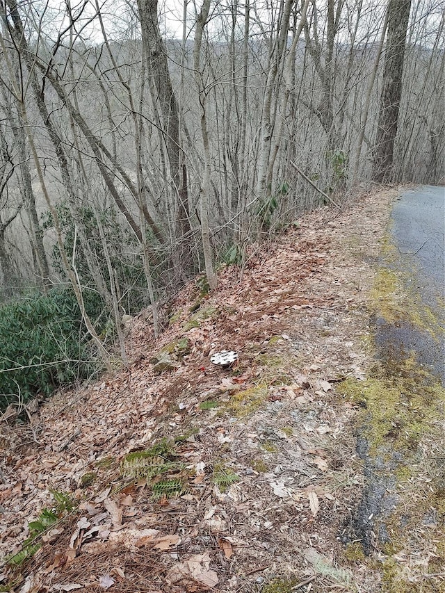 0 Vineyard Hill Dr, Fletcher, NC 28732