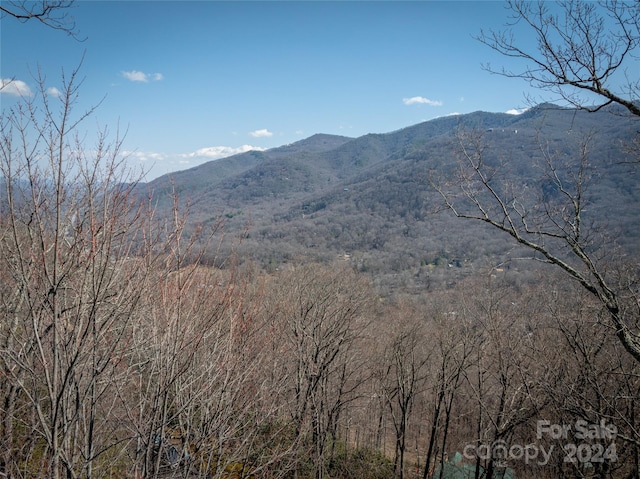 Listing photo 2 for 58 Kings Ridge Rd Unit 58, Maggie Valley NC 28751