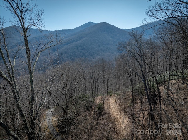 Listing photo 3 for 58 Kings Ridge Rd Unit 58, Maggie Valley NC 28751