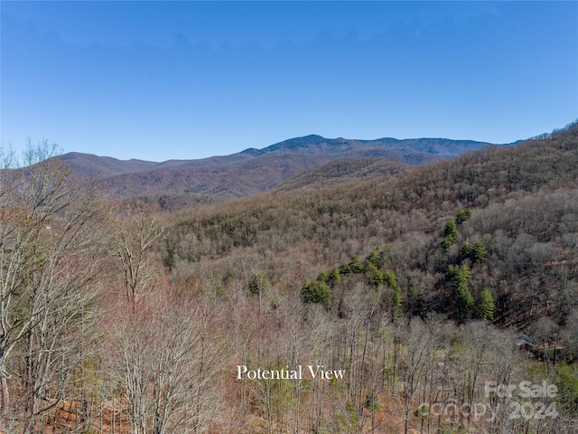 00 Wildwood Drive 65 & 66, Burnsville NC, 28714 land for sale