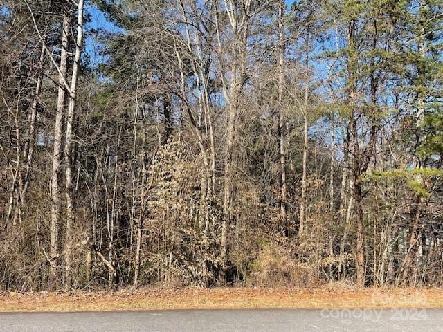 LOT6 Cedar Forest Loop Unit 6, Hickory NC, 28601 land for sale