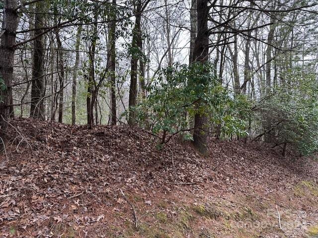 TBD Dotsuwa Court L130&131-U26, Brevard NC, 28712 land for sale