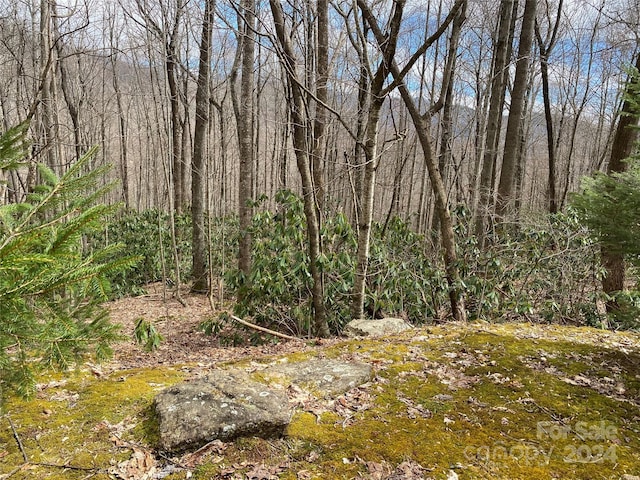 29 Wood Haven Ln Unit 209, Black Mountain NC, 28711 land for sale