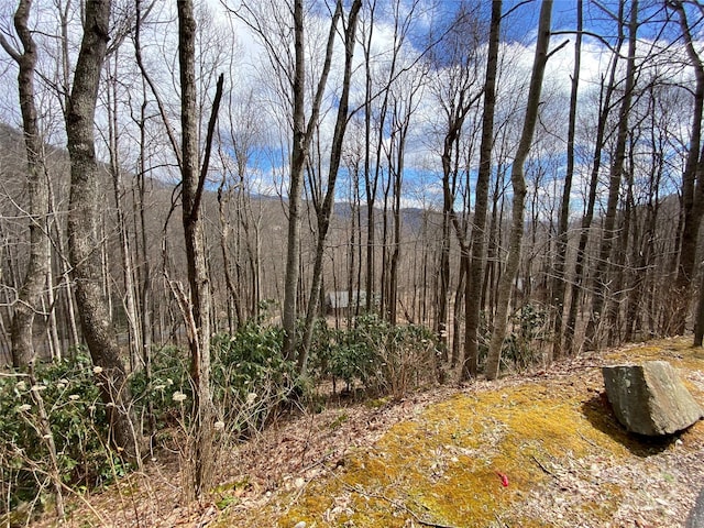 55 Great Aspen Way Unit 211, Black Mountain NC, 28711 land for sale