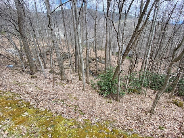 Listing photo 3 for 55 Great Aspen Way Unit 211, Black Mountain NC 28711