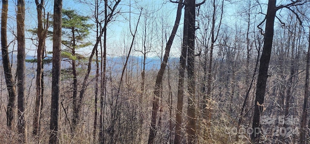 999 Pinnacle Mountain Rd Lot # 8, Zirconia NC, 28790 land for sale