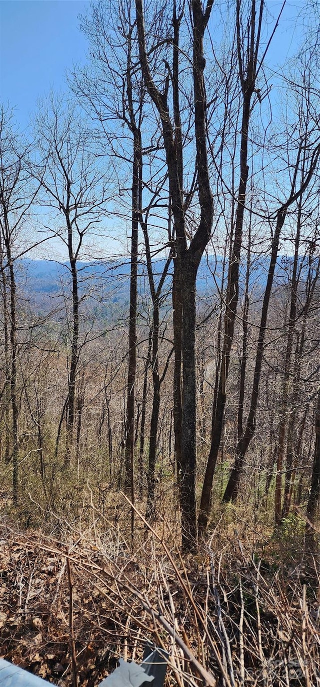 Listing photo 2 for 999 Pinnacle Mountain Rd Lot # 8, Zirconia NC 28790