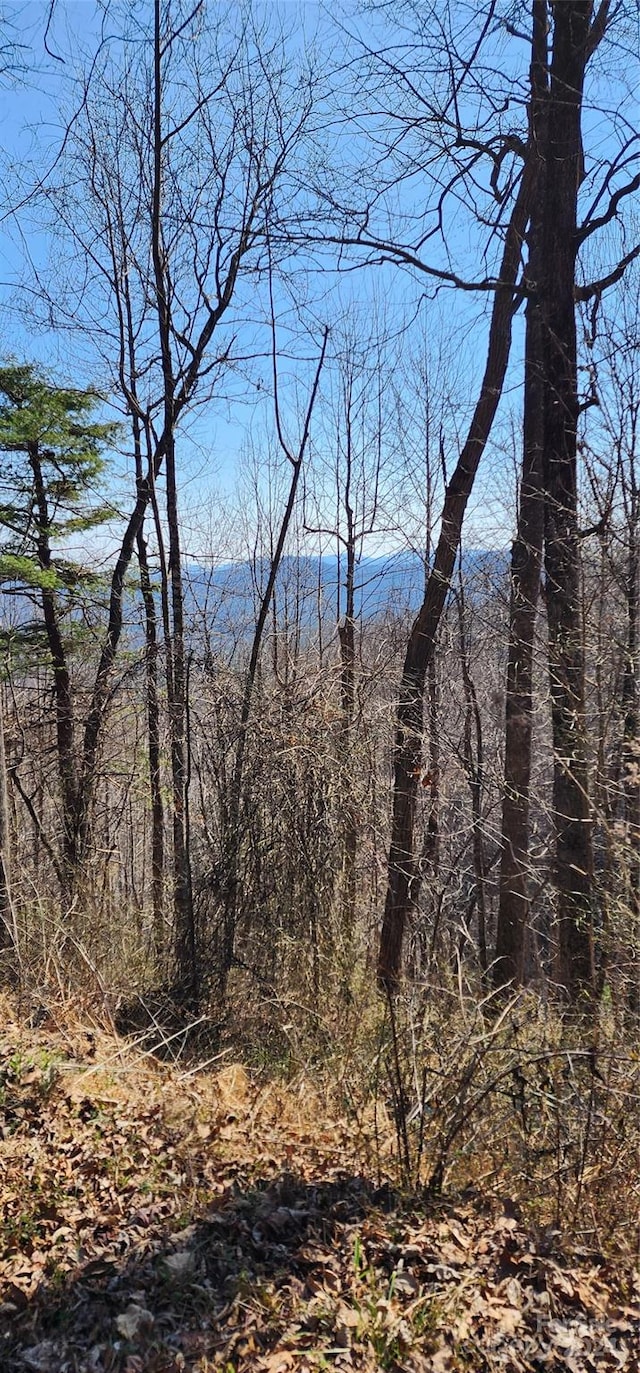 Listing photo 3 for 999 Pinnacle Mountain Rd Lot # 8, Zirconia NC 28790