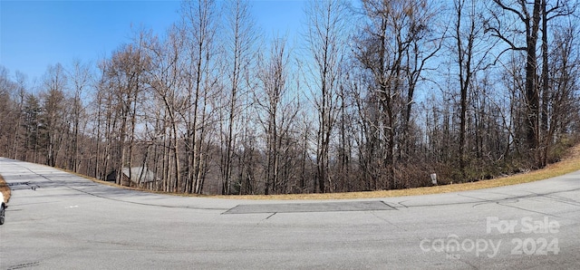 Listing photo 3 for 999 Falkirk Way Lot # 9, Zirconia NC 28790