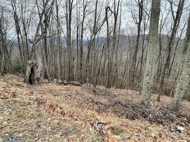 102 Flame Azalea Ln, Mars Hill, NC 28754