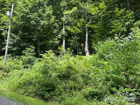 19 Gardenside Rd, Mars Hill NC, 28754 land for sale