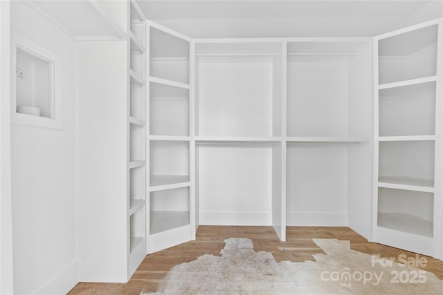 spacious closet featuring light hardwood / wood-style floors