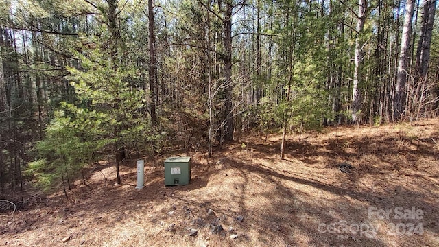 0 Sunset Dr Unit 20, Mill Spring, NC 28756 - photo 6