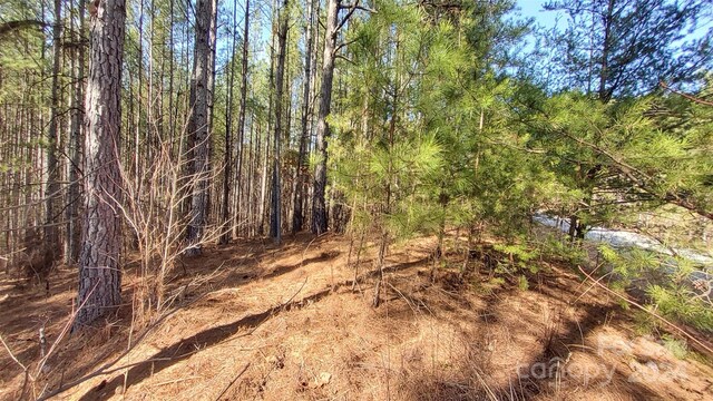 0 Sunset Dr Unit 20, Mill Spring, NC 28756 - photo 7