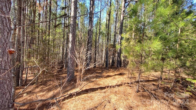 0 Sunset Dr Unit 20, Mill Spring, NC 28756 - photo 8