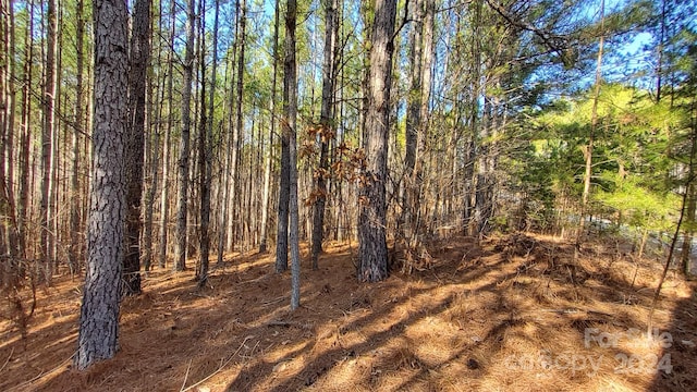 0 Sunset Dr Unit 20, Mill Spring, NC 28756 - photo 9