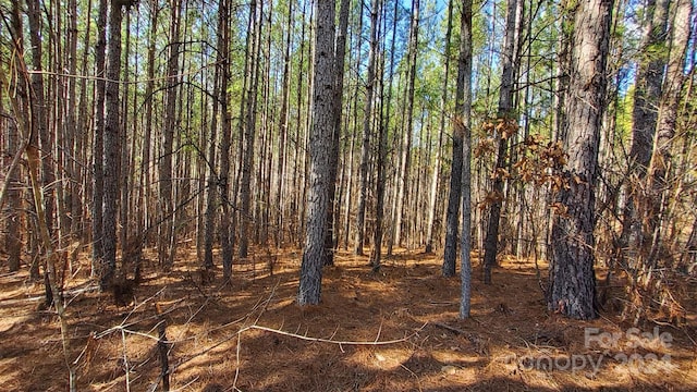 0 Sunset Dr Unit 20, Mill Spring, NC 28756 - photo 10