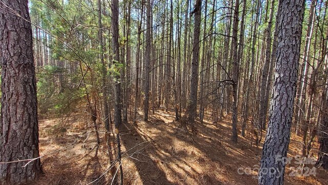 0 Sunset Dr Unit 20, Mill Spring, NC 28756 - photo 11
