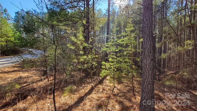 0 Sunset Dr Unit 20, Mill Spring, NC 28756 - photo 12